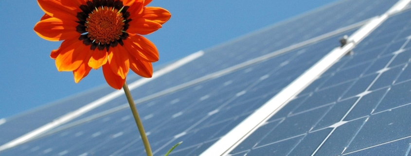 Balkonkraftwerk für Mieter