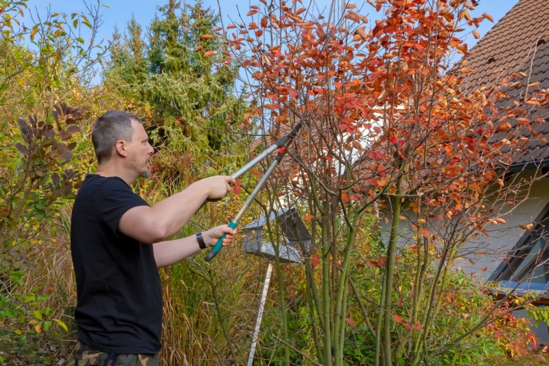 Neuen Garten planen